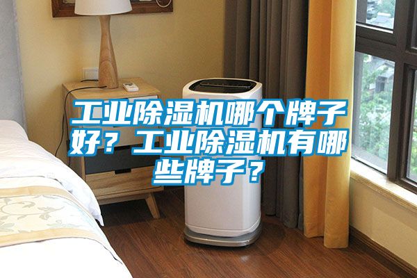 工業除濕機哪個牌子好？工業除濕機有哪些牌子？