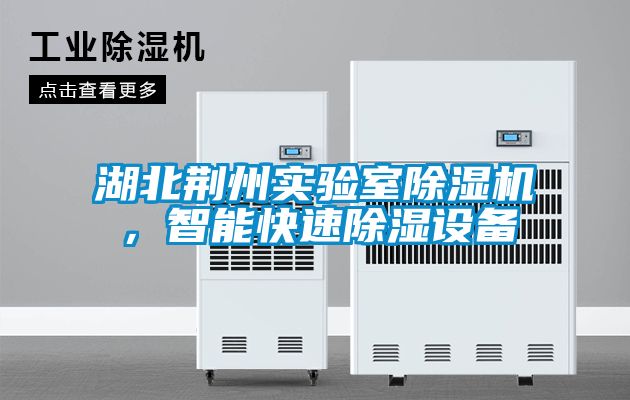 湖北荊州實(shí)驗(yàn)室除濕機(jī),智能快速除濕設(shè)備