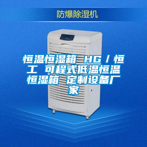 恒溫恒濕箱 HG/恒工 可程式低溫恒溫恒濕箱 定制設備廠家