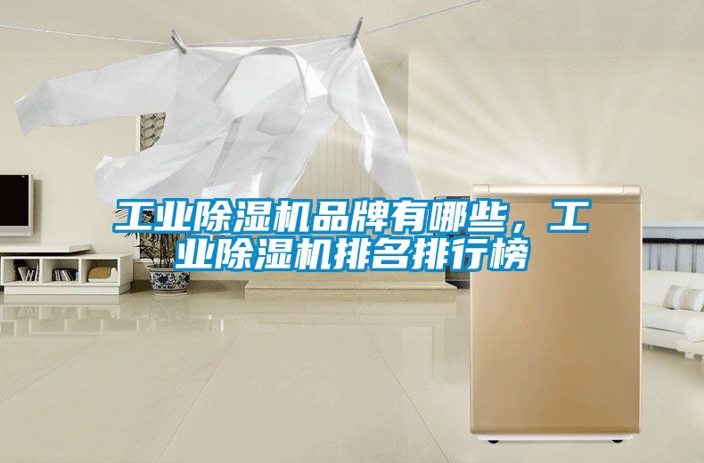 工業除濕機品牌有哪些，工業除濕機排名排行榜