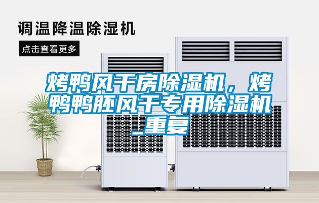 烤鴨風(fēng)干房除濕機(jī),烤鴨鴨胚風(fēng)干專(zhuān)用除濕機(jī)_重復(fù)