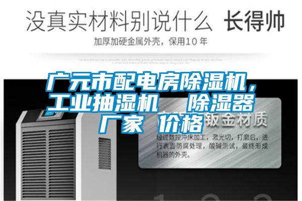 廣元市配電房除濕機,工業抽濕機 除濕器廠家 價格
