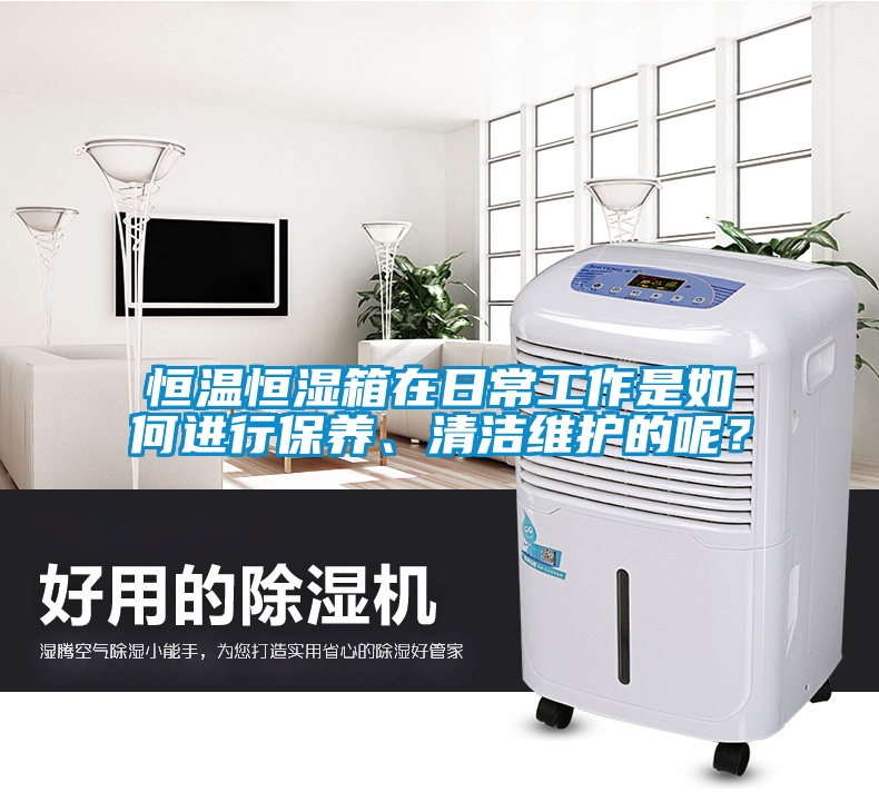 恒溫恒濕箱在日常工作是如何進(jìn)行保養(yǎng)、清潔維護(hù)的呢？