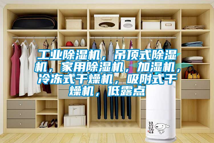 工業(yè)除濕機，吊頂式除濕機，家用除濕機，加濕機，冷凍式干燥機，吸附式干燥機，低露點