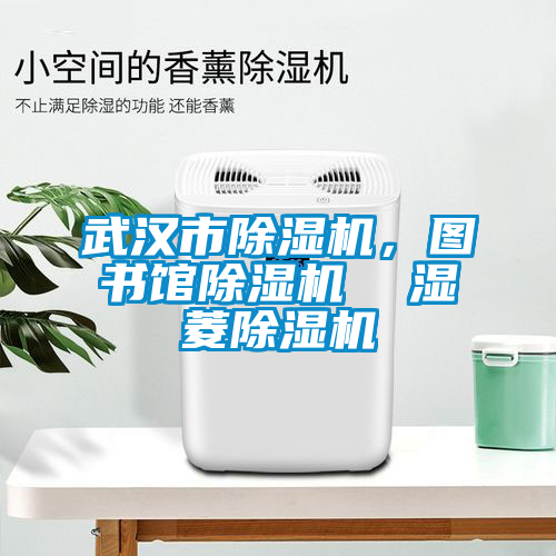 武漢市除濕機，圖書館除濕機  濕菱除濕機