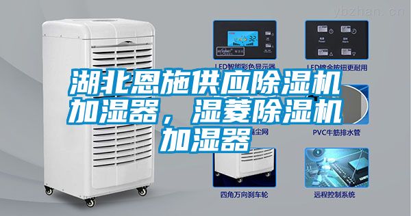 湖北恩施供應除濕機加濕器,濕菱除濕機加濕器