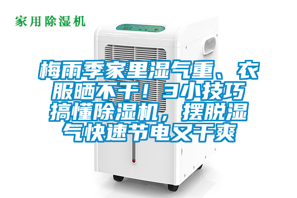 梅雨季家里濕氣重、衣服曬不干！3小技巧搞懂除濕機，擺脫濕氣快速節電又干爽