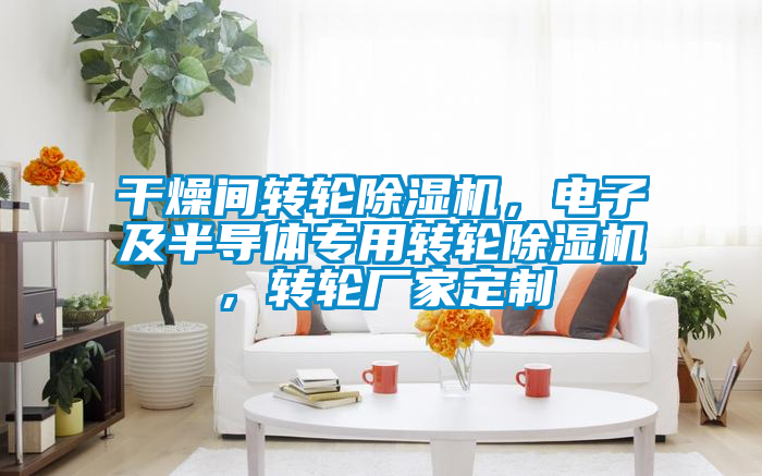 干燥間轉輪除濕機，電子及半導體專用轉輪除濕機，轉輪廠家定制