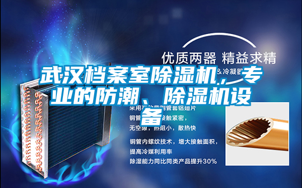 武漢檔案室除濕機，專業(yè)的防潮、除濕機設(shè)備