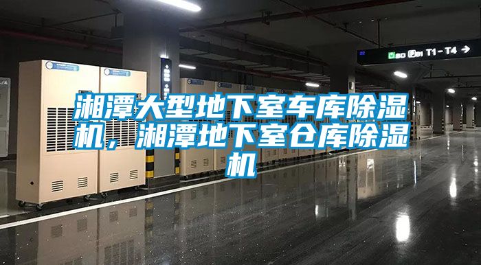 湘潭大型地下室車庫除濕機(jī)，湘潭地下室倉庫除濕機(jī)