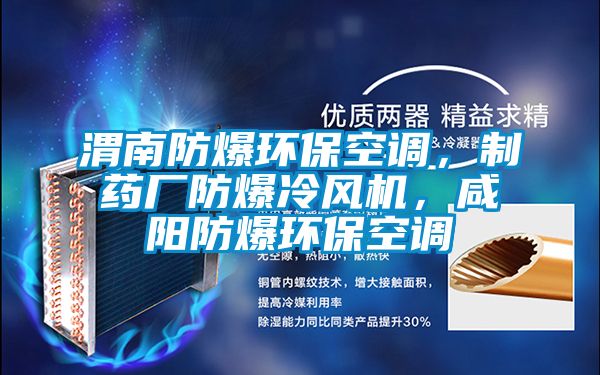 渭南防爆環?？照{，制藥廠防爆冷風機，咸陽防爆環?？照{