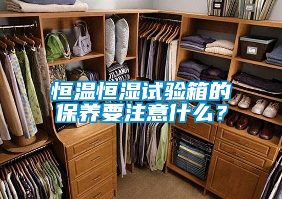 恒溫恒濕試驗(yàn)箱的保養(yǎng)要注意什么?