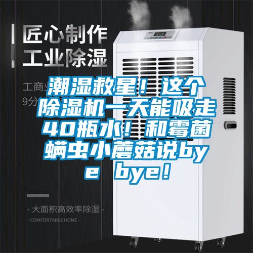潮濕救星！這個(gè)除濕機(jī)一天能吸走40瓶水！和霉菌螨蟲(chóng)小蘑菇說(shuō)bye bye！