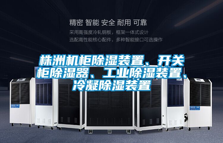 株洲機柜除濕裝置、開關柜除濕器、工業除濕裝置、冷凝除濕裝置