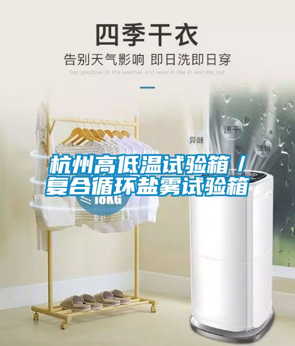 杭州高低溫試驗箱／復合循環(huán)鹽霧試驗箱