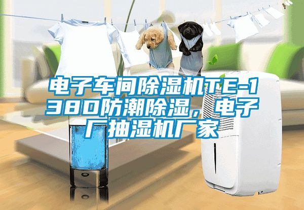 電子車間除濕機(jī)TE-138D防潮除濕，電子廠抽濕機(jī)廠家