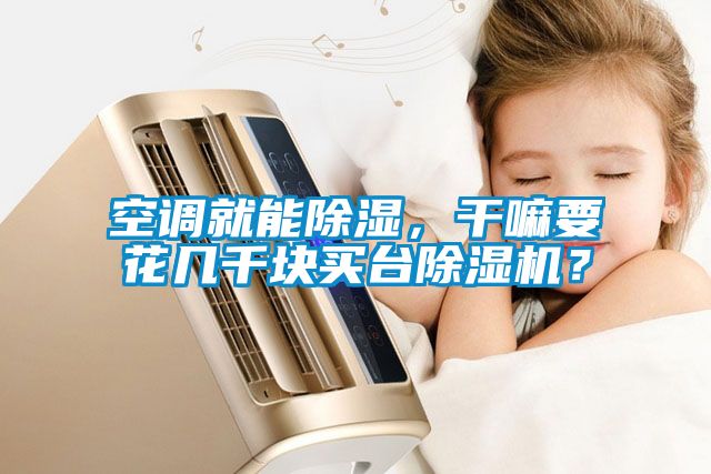 空調(diào)就能除濕，干嘛要花幾千塊買(mǎi)臺(tái)除濕機(jī)？