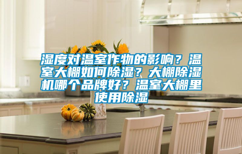 濕度對溫室作物的影響？溫室大棚如何除濕？大棚除濕機哪個品牌好？溫室大棚里使用除濕