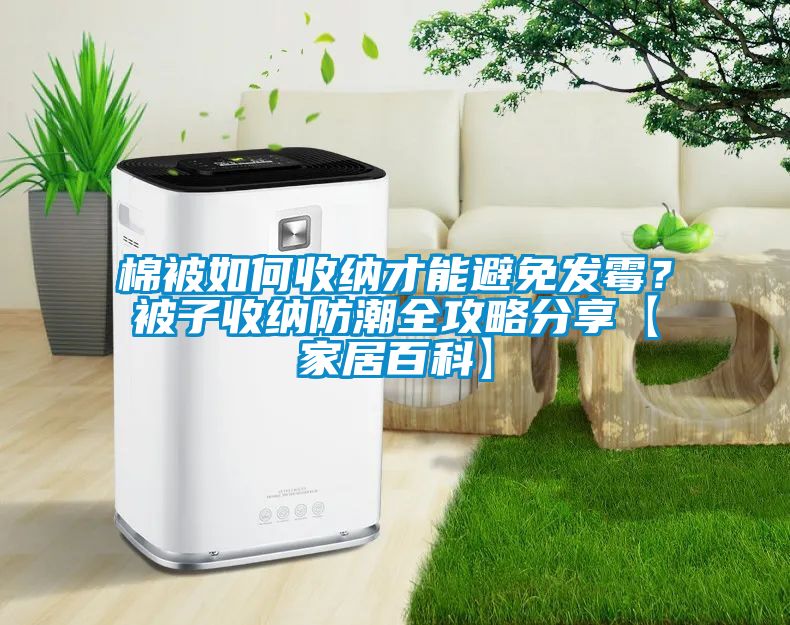 棉被如何收納才能避免發霉？被子收納防潮全攻略分享【家居百科】