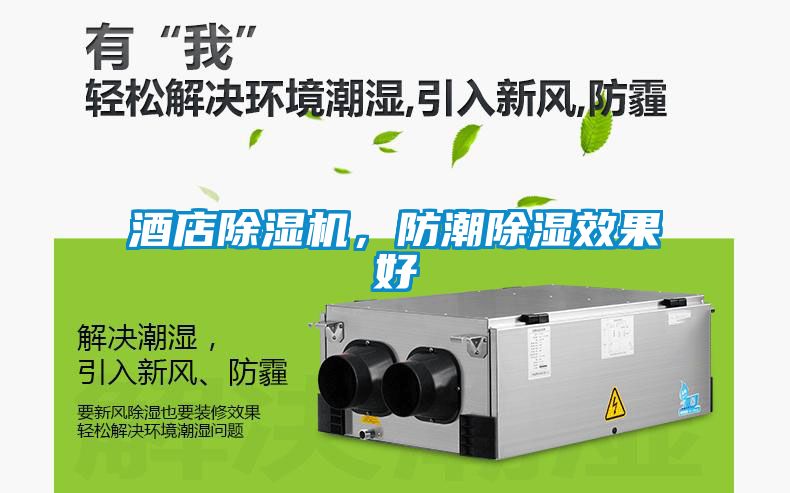 酒店除濕機，防潮除濕效果好