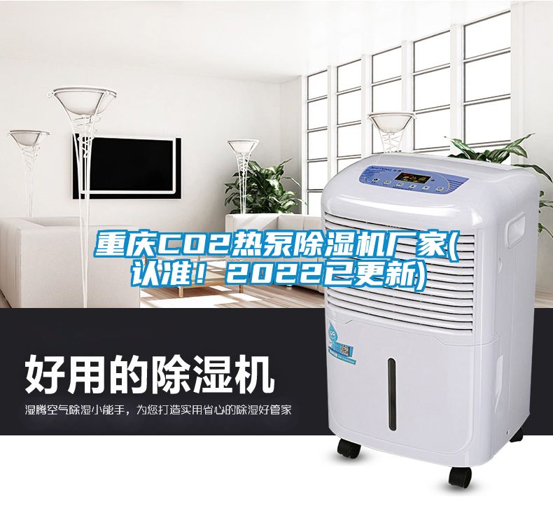 重慶CO2熱泵除濕機廠家(認(rèn)準(zhǔn)！2022已更新)