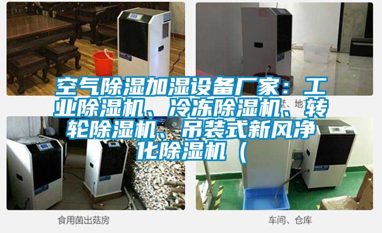 空氣除濕加濕設備廠家：工業除濕機、冷凍除濕機、轉輪除濕機、吊裝式新風凈化除濕機（