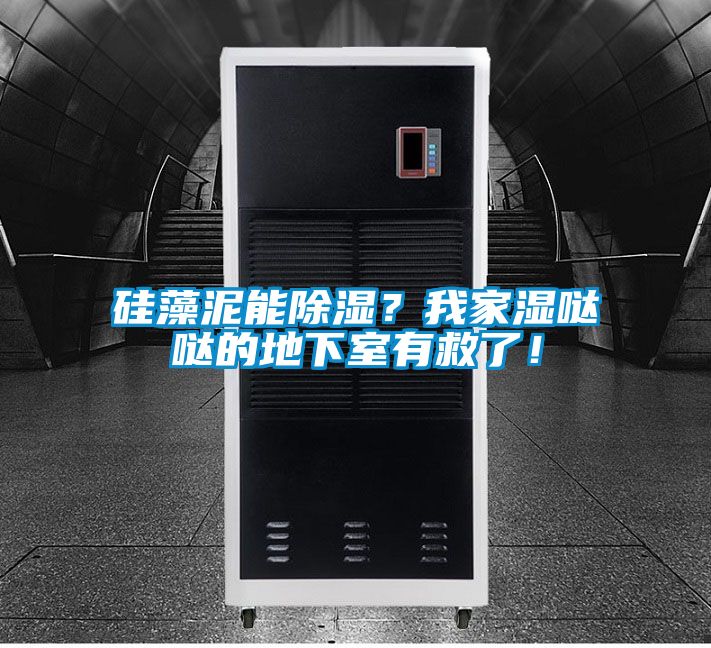 硅藻泥能除濕？我家濕噠噠的地下室有救了！