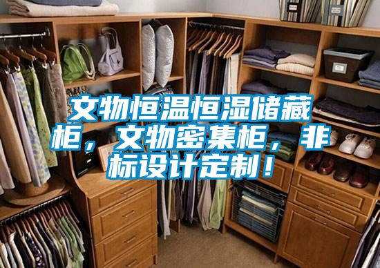 文物恒溫恒濕儲藏柜，文物密集柜，非標設計定制！