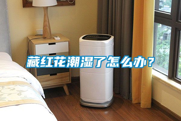 藏紅花潮濕了怎么辦?