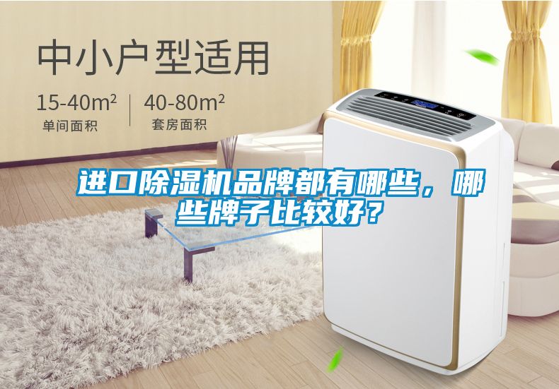 進口除濕機品牌都有哪些，哪些牌子比較好？