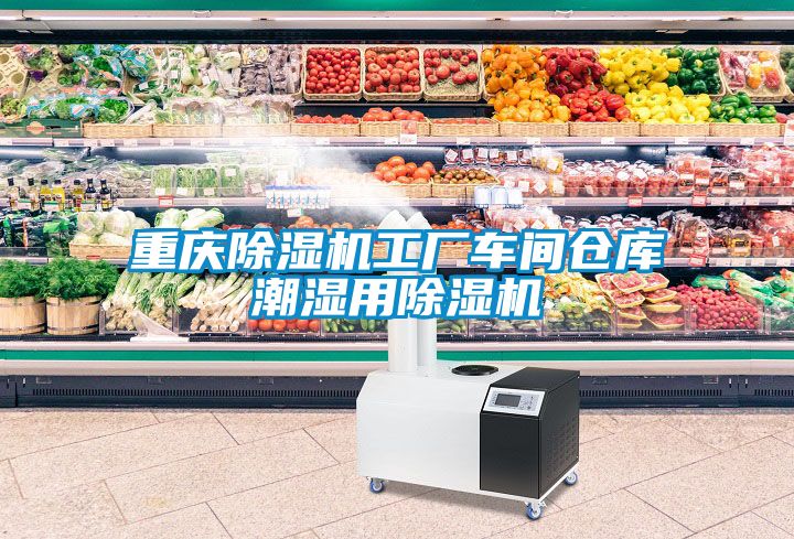 重慶除濕機(jī)工廠車間倉(cāng)庫潮濕用除濕機(jī)