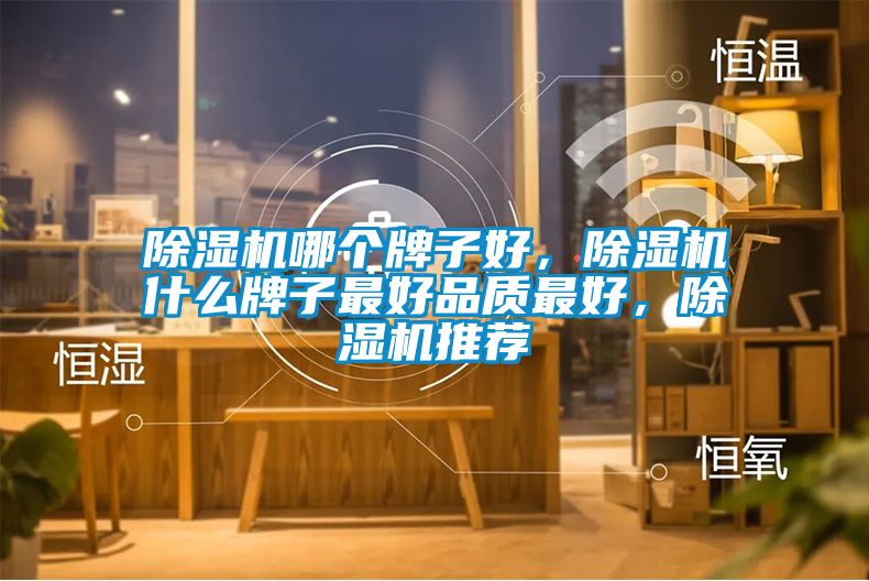 除濕機(jī)哪個(gè)牌子好，除濕機(jī)什么牌子最好品質(zhì)最好，除濕機(jī)推薦