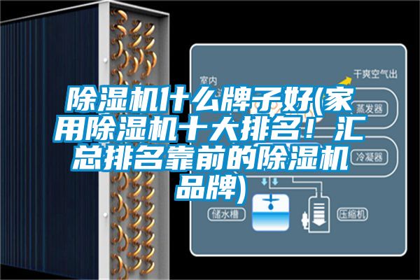 除濕機什么牌子好(家用除濕機十大排名！匯總排名靠前的除濕機品牌)