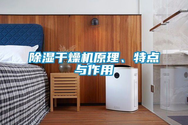 除濕干燥機原理、特點與作用