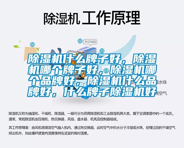 除濕機什么牌子好，除濕機哪個牌子好，除濕機哪個品牌好，除濕機什么品牌好，什么牌子除濕機好