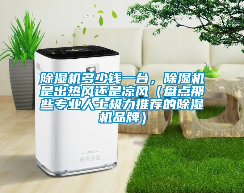 除濕機多少錢一臺，除濕機是出熱風還是涼風（盤點那些專業人士極力推薦的除濕機品牌）
