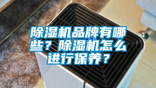 除濕機品牌有哪些？除濕機怎么進行保養？