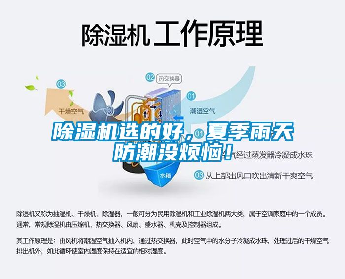除濕機選的好，夏季雨天防潮沒煩惱！