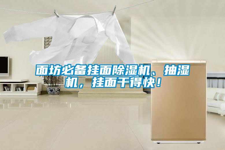 面坊必備掛面除濕機(jī)、抽濕機(jī)，掛面干得快！