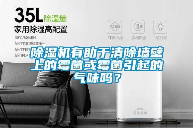 除濕機有助于清除墻壁上的霉菌或霉菌引起的氣味嗎？