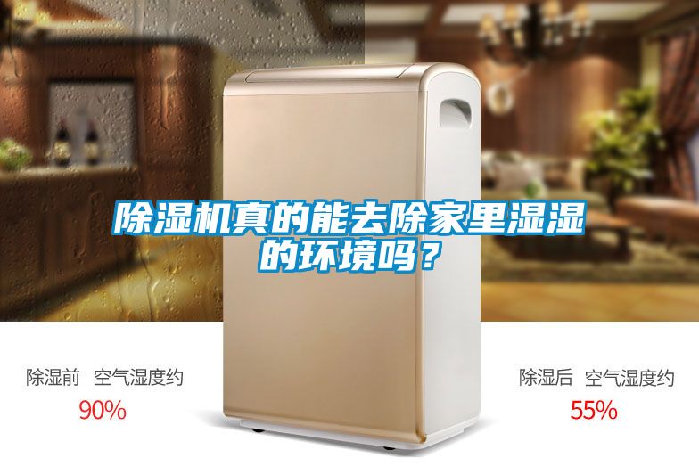 除濕機真的能去除家里濕濕的環境嗎？