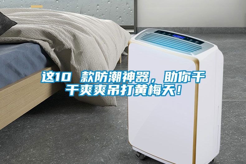 這10 款防潮神器，助你干干爽爽吊打黃梅天！