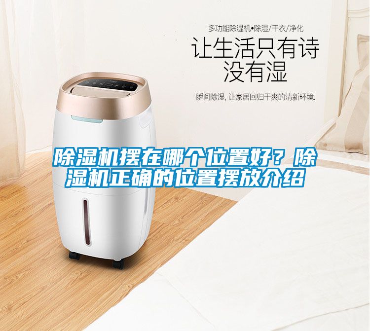 除濕機擺在哪個位置好？除濕機正確的位置擺放介紹