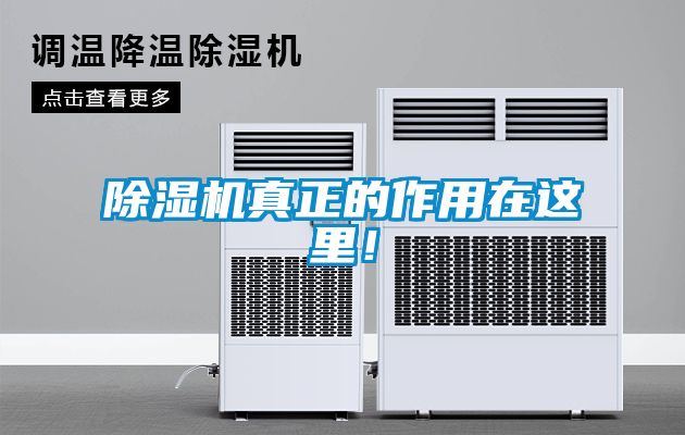 除濕機(jī)真正的作用在這里！