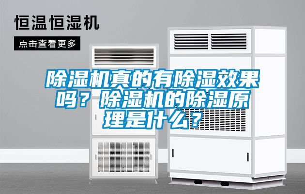 除濕機真的有除濕效果嗎？除濕機的除濕原理是什么？