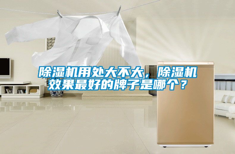 除濕機(jī)用處大不大，除濕機(jī)效果最好的牌子是哪個(gè)？