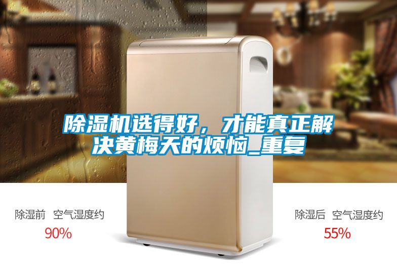 除濕機選得好，才能真正解決黃梅天的煩惱_重復