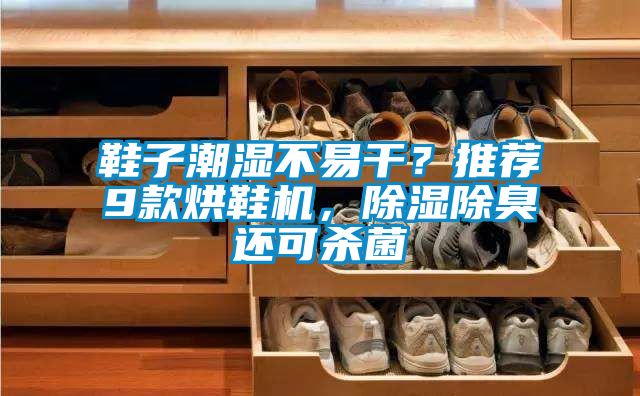 鞋子潮濕不易干？推薦9款烘鞋機，除濕除臭還可殺菌