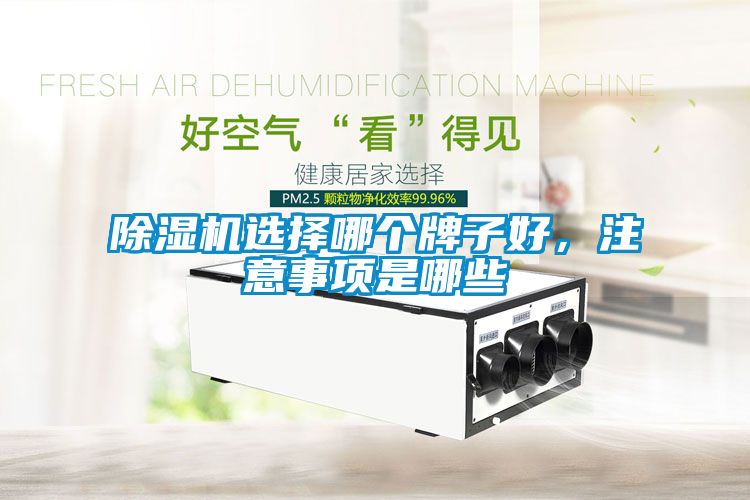 除濕機選擇哪個牌子好，注意事項是哪些