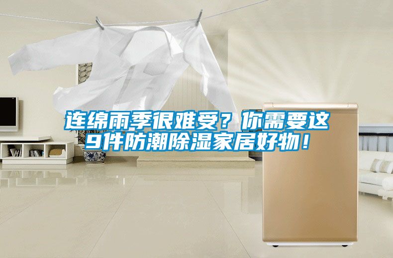 連綿雨季很難受？你需要這9件防潮除濕家居好物！